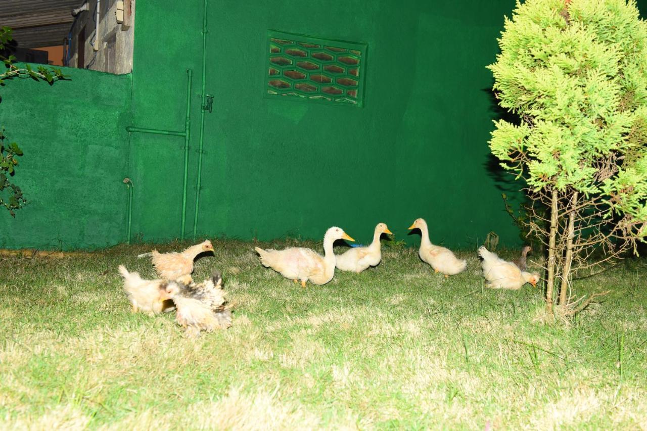 K G N Farmhouse Kundapur Eksteriør bilde